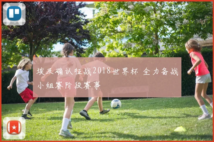 埃及确认征战2018世界杯 全力备战小组赛阶段赛事