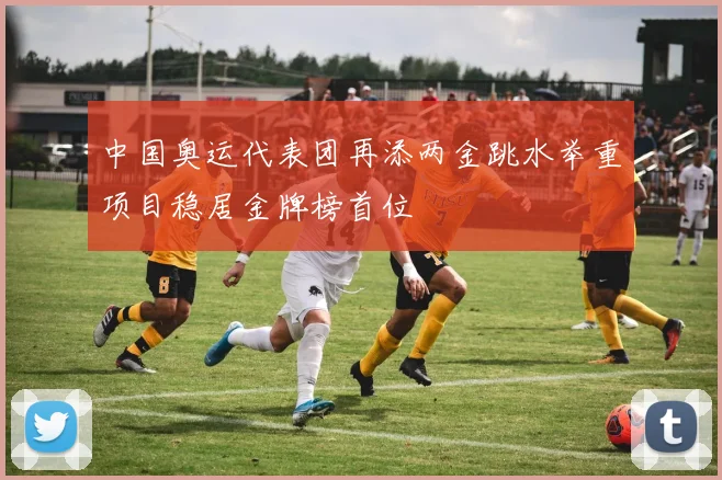 中国奥运代表团再添两金跳水举重项目稳居金牌榜首位