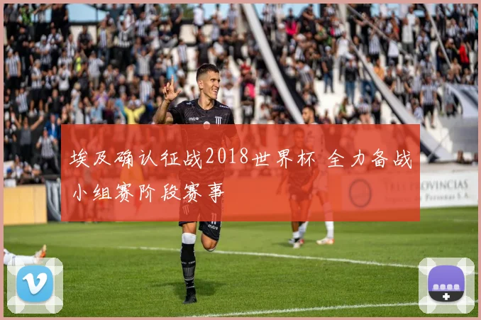 埃及确认征战2018世界杯 全力备战小组赛阶段赛事