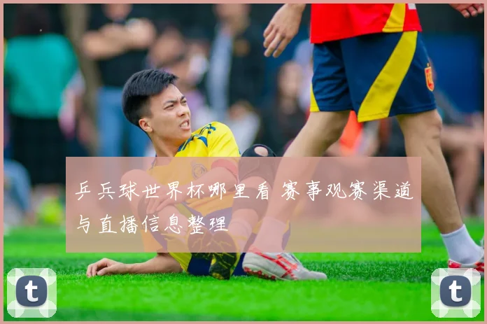 乒兵球世界杯哪里看 赛事观赛渠道与直播信息整理