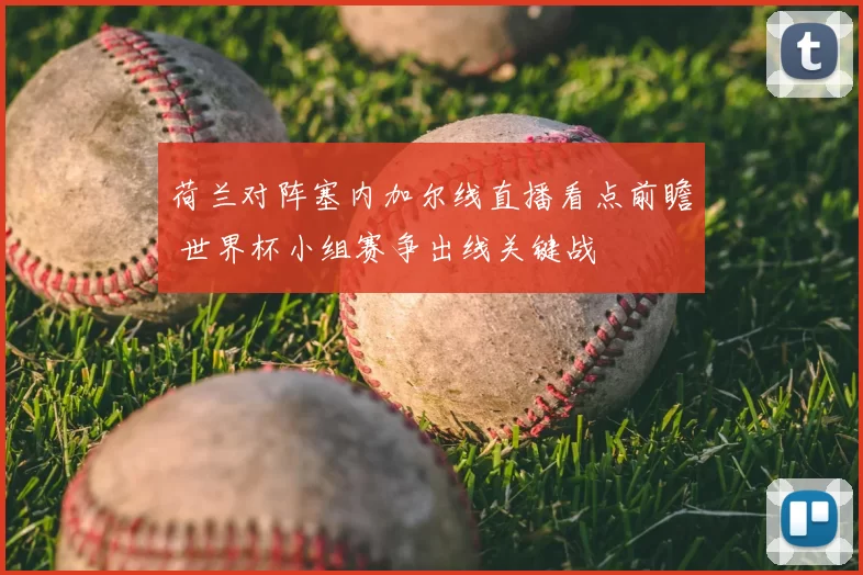 荷兰对阵塞内加尔线直播看点前瞻 世界杯小组赛争出线关键战