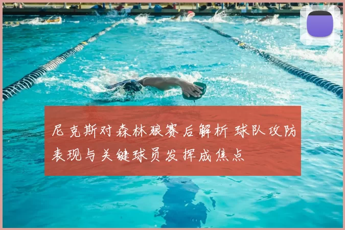 尼克斯对森林狼赛后解析 球队攻防表现与关键球员发挥成焦点